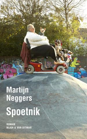 Cover of the book Spoetnik by Joke van Leeuwen
