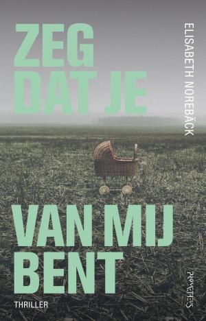 Cover of the book Zeg dat je van mij bent by Arie Storm