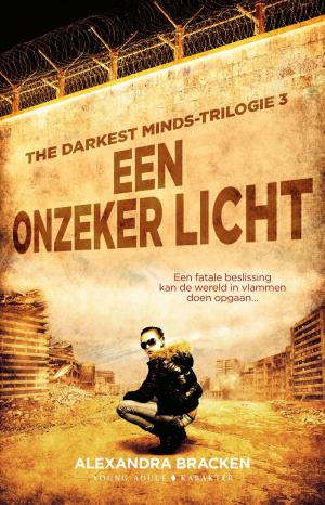 Book cover of Een onzeker licht