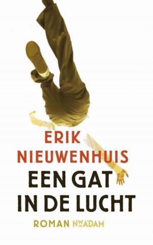 Cover of the book Een gat in de lucht by Silvia Tennenbaum