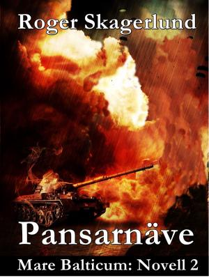 Cover of the book Pansarnäve by Wolfgang Peter-Michel