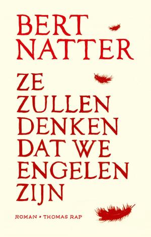 Cover of the book Ze zullen denken dat we engelen zijn by Yuval Noah Harari