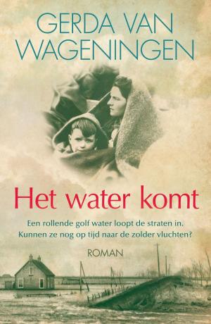 Cover of the book Het water komt by J.B. Morrison