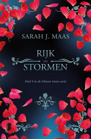 Cover of the book Rijk van stormen by Chris Ryan