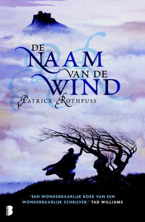 Cover of the book De naam van de wind by Nora Roberts