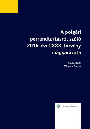 Cover of the book A polgári perrendtartásról szóló 2016. évi CXXX. törvény magyarázata by Billy Cripe