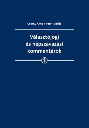 bigCover of the book Választójogi és népszavazási kommentárok by 