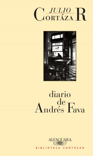 Cover of the book Diario de Andrés Fava by Dora Barrancos