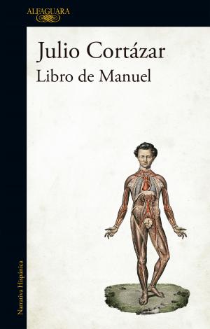 Cover of the book Libro de Manuel by Fanue