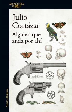 Cover of the book Alguien que anda por ahí by Graciela Montes