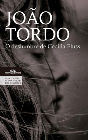 Cover of the book O deslumbre de Cecilia Fluss (Trilogia dos Lugares Sem Nome 3) by Elena Ferrante
