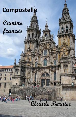 Cover of the book Compostelle - Camino francés by Claude Bernier