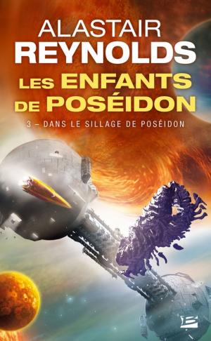 Cover of the book Dans le sillage de Poséidon by Amy Raby