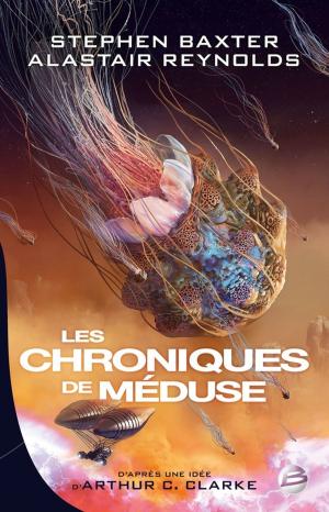 Cover of the book Les Chroniques de Méduse by Brent Weeks