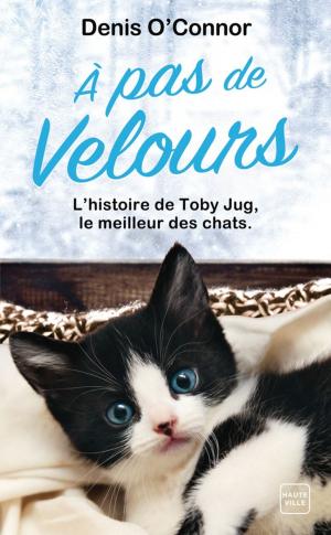Cover of the book À pas de velours by Ève Langlais