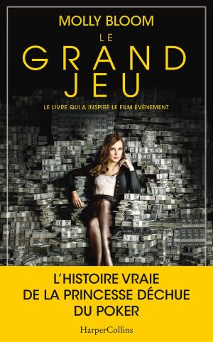 Book cover of Le grand jeu