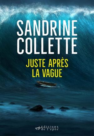 Cover of the book Juste après la vague by Sandrine Collette