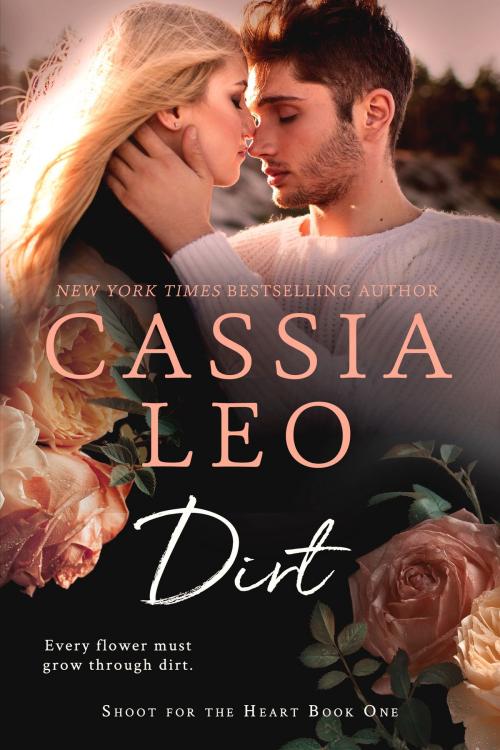 Cover of the book Dirt by Cassia Leo, Gloss Publishing LLC