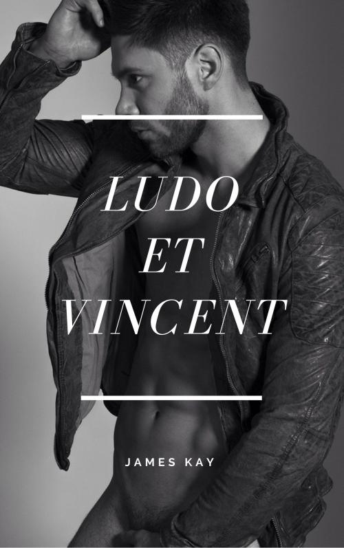 Cover of the book Ludo et Vincent by James KAY, JK Edition