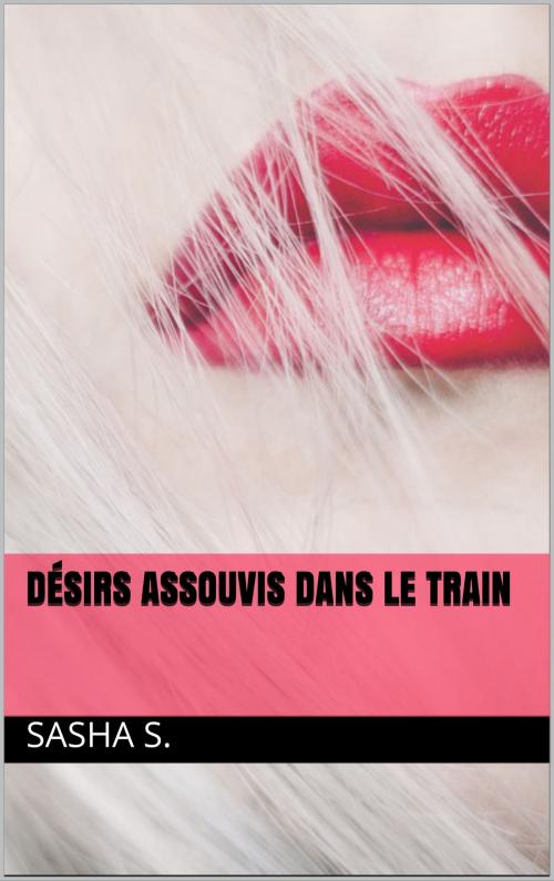 Cover of the book Désirs assouvis dans le train by Sasha S., Sasha S.