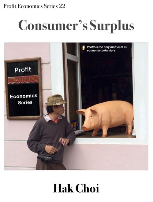 Cover of the book Consumer’s Surplus by Hak Choi, Hak Choi