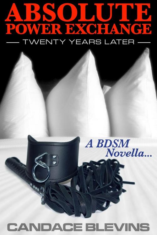 Cover of the book Absolute Power Exchange – Twenty Years Later by Candace Blevins, Excessica