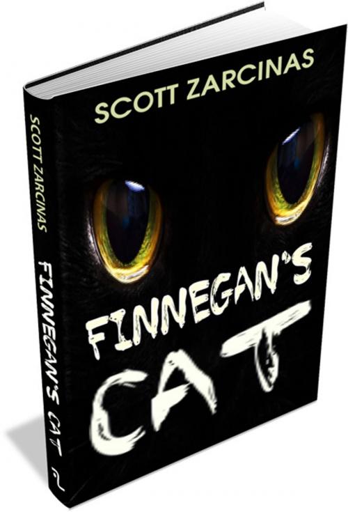 Cover of the book Finnegan's Cat by Scott Zarcinas, DoctorZed Publishing