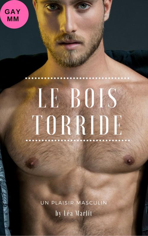 Cover of the book Le bois torride by Léa Marlit, LM Edition