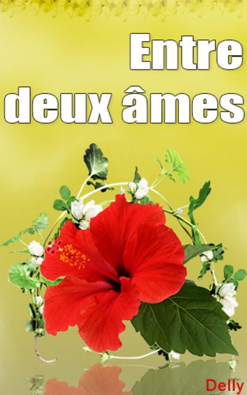 Cover of the book Entre deux âmes by DELLY, DELLY