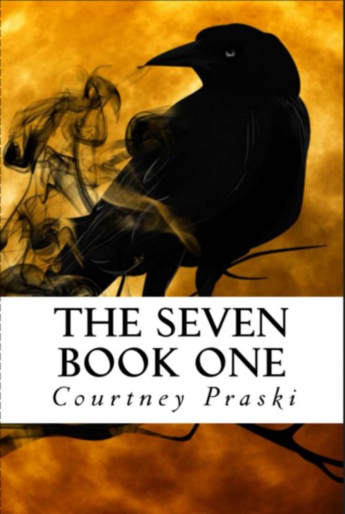 Cover of the book The Seven by Courtney Praski, createspace