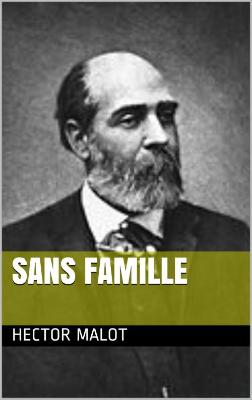 Cover of the book HECTOR MALOT Sans famille by HECTOR MALOT, bp
