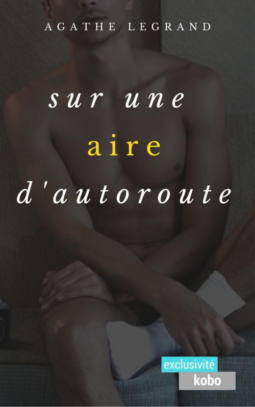 Cover of the book Sur une aire d'autoroute by Agathe Legrand, AL Edition