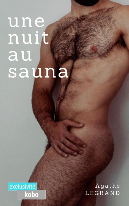 Cover of the book Une nuit au sauna by Agathe Legrand, AL Edition