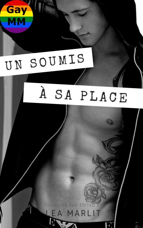Cover of the book Un soumis à sa place by Léa Marlit, LM Edition