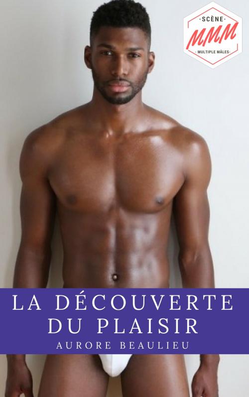 Cover of the book La découverte du plaisir by Aurore Beaulieu, AB Edition