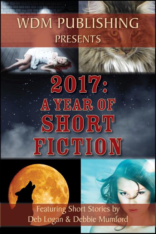 Cover of the book 2017: A Year of Short Fiction by Debbie Mumford, Deb Logan, WDM Publishing