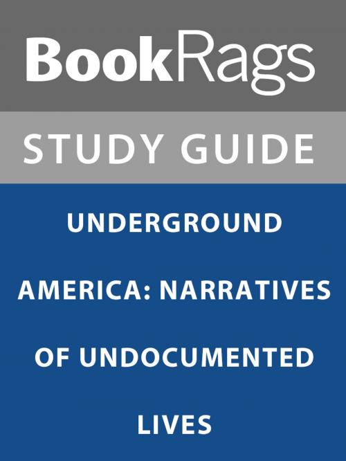 Cover of the book Summary & Study Guide: Underground America: Narratives of Undocumented Lives by BookRags, BookRags