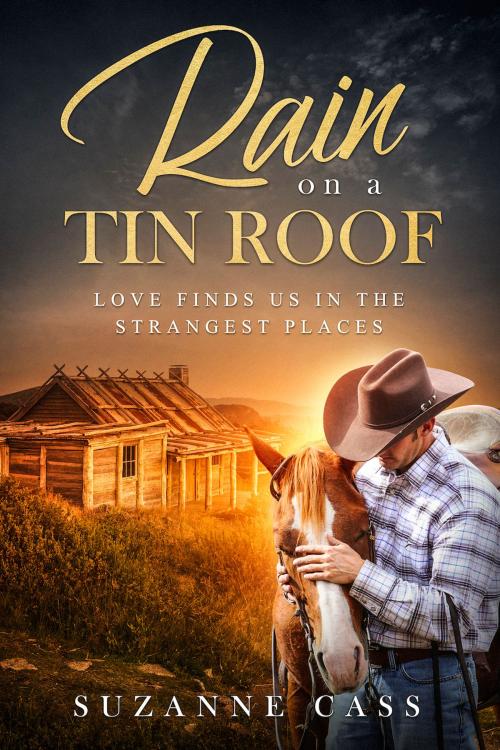 Cover of the book Rain on a Tin Roof by Suzanne Cass, Suzanne Cass
