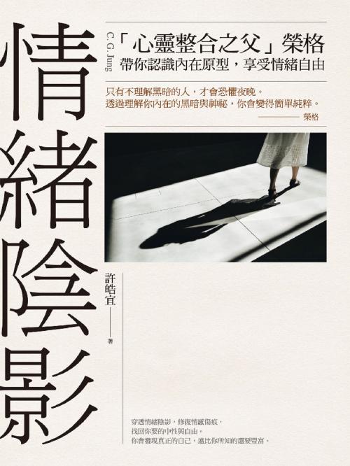 Cover of the book 情緒陰影 by 許皓宜, 遠流出版