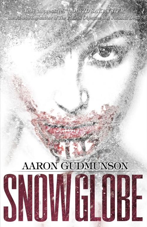 Cover of the book Snow Globe by Aaron Gudmunson, Crossroad Press