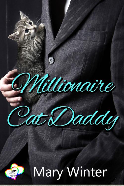 Cover of the book Millionaire Cat Daddy by Mary Winter, Charmed Chicken Media