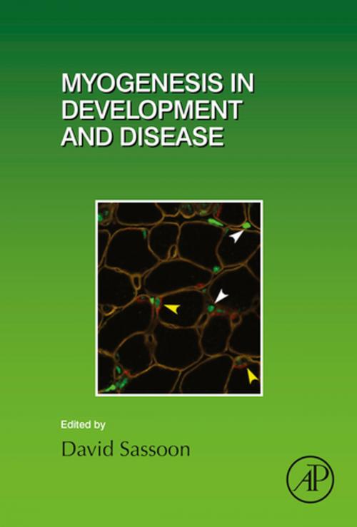Cover of the book Myogenesis in Development and Disease by David Sassoon, Elsevier Science