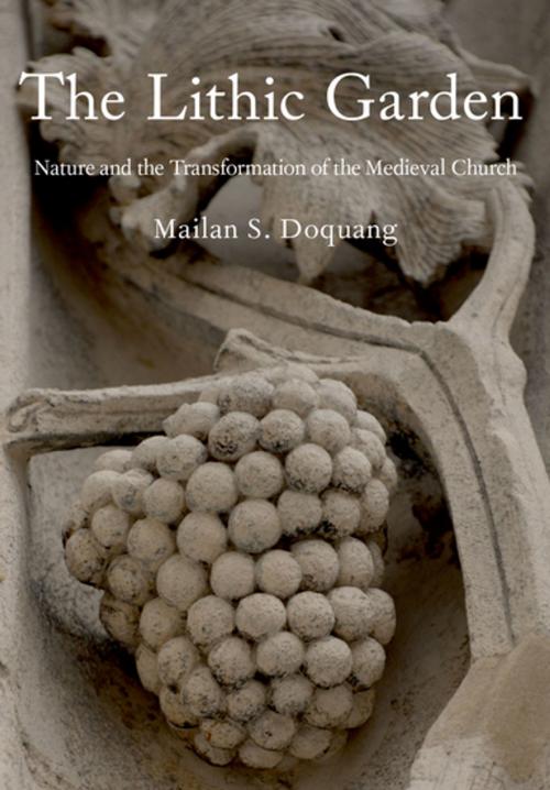 Cover of the book The Lithic Garden by Mailan S. Doquang, Oxford University Press