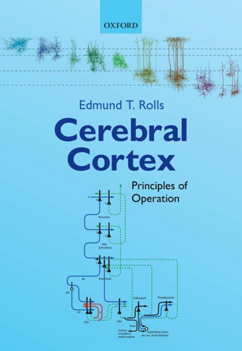 Cover of the book Cerebral Cortex by Edmund T. Rolls, OUP Oxford