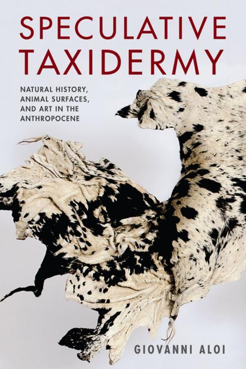 Cover of the book Speculative Taxidermy by Giovanni Aloi, Columbia University Press