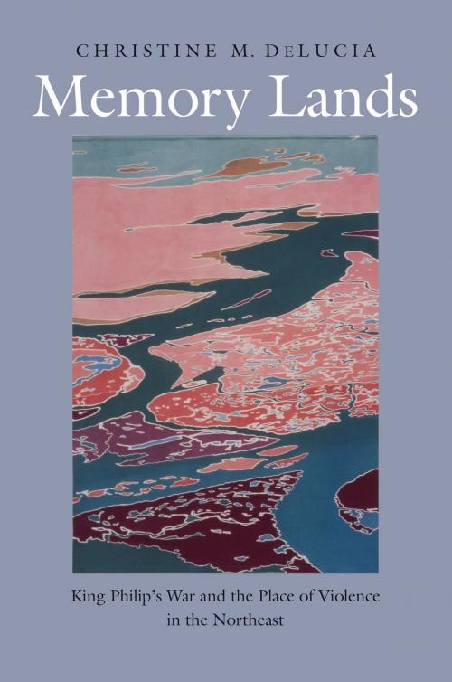 Cover of the book Memory Lands by Christine M. DeLucia, Yale University Press