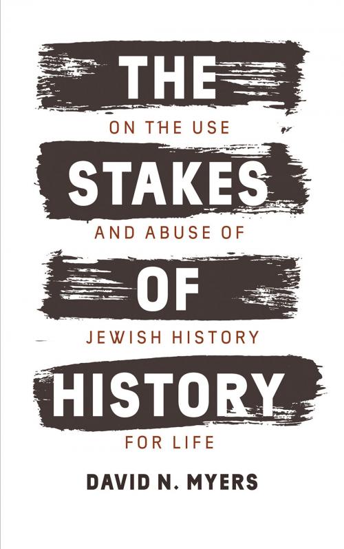 Cover of the book The Stakes of History by David N. Myers, Yale University Press
