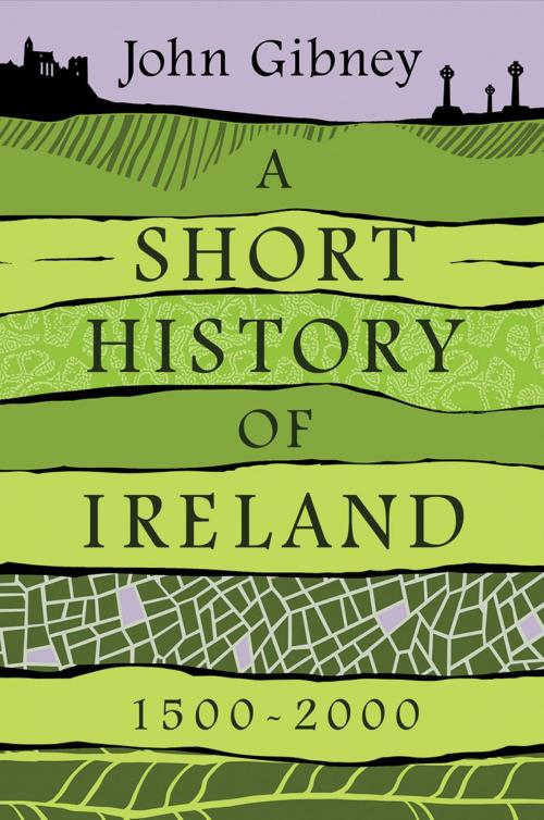 Cover of the book A Short History of Ireland, 1500-2000 by John Gibney, Yale University Press