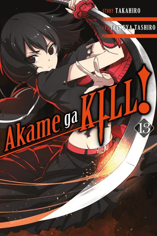 Cover of the book Akame ga KILL!, Vol. 13 by Tetsuya Tashiro, Takahiro, Yen Press