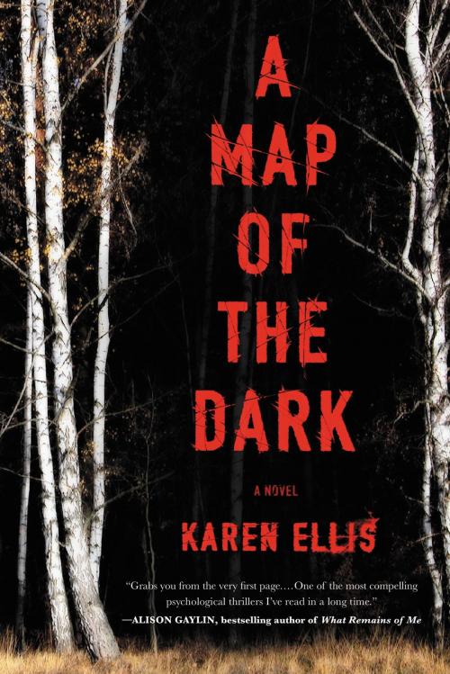Cover of the book A Map of the Dark by Karen Ellis, Little, Brown and Company